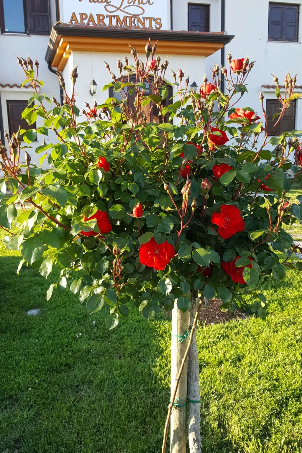 Villa Liet 9.-Draußen