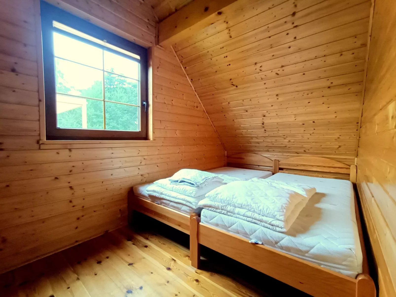 "Paradise Star Bobolin"-Inside