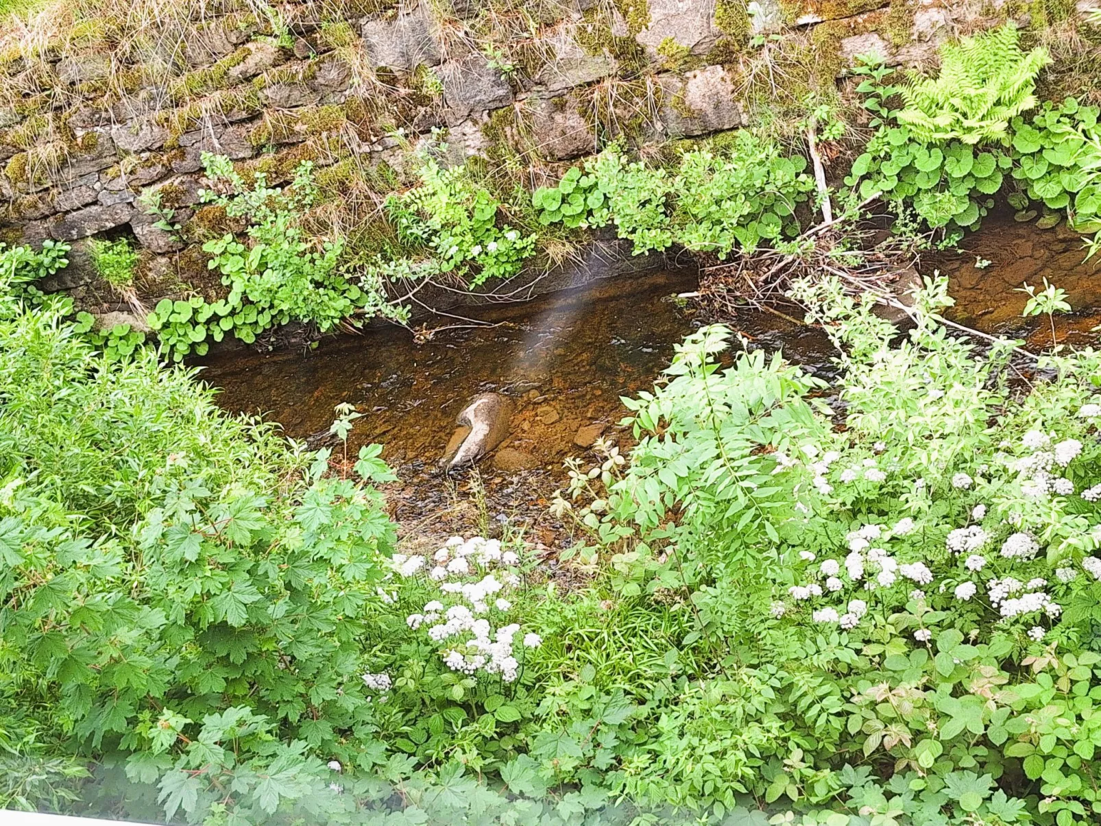 Große Auszeit - Dehors