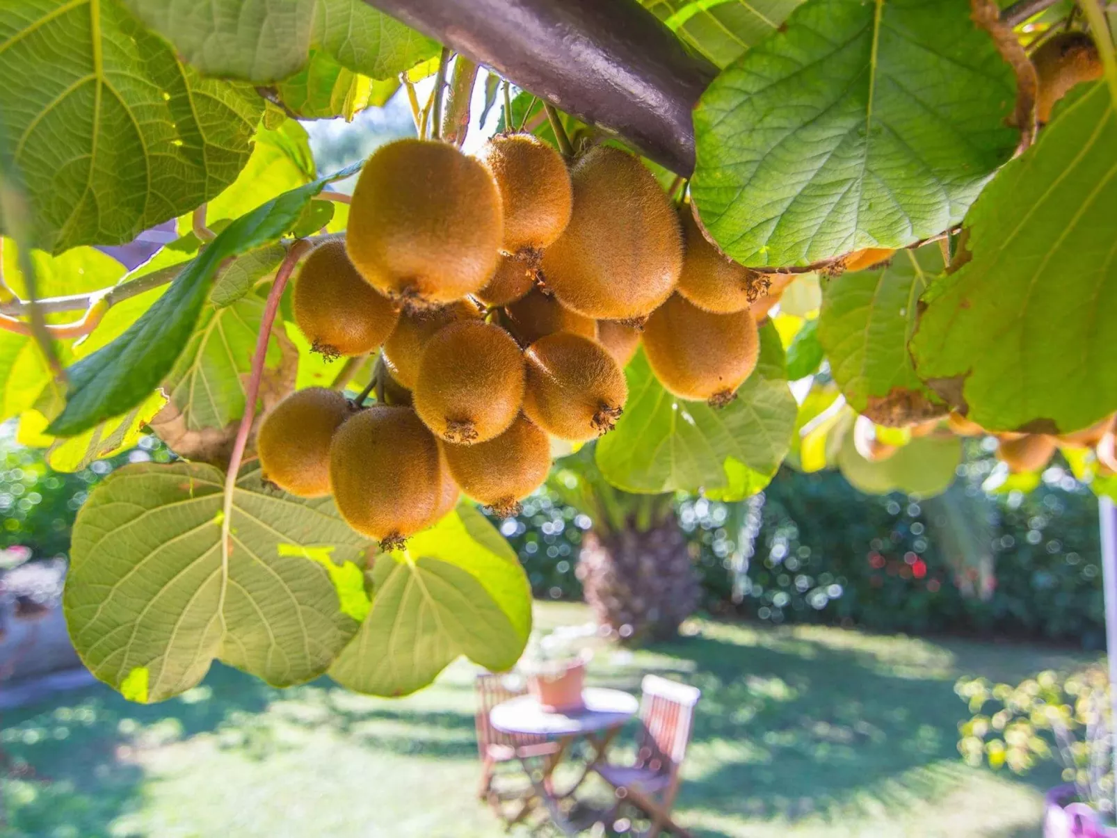 Gemütliche Wohnung mit Gartenblick-Outside