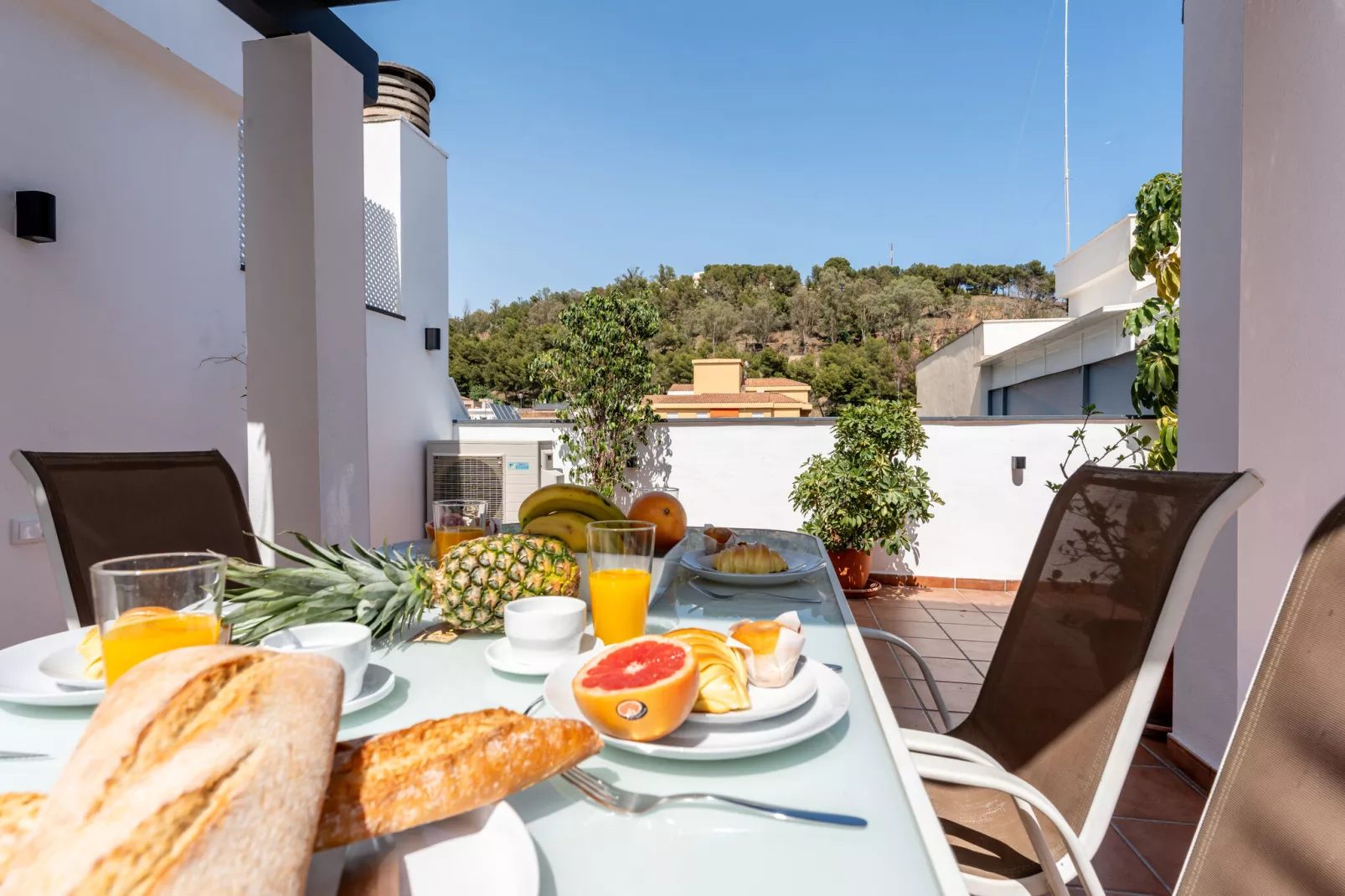 CT 252 - Faro's Malaga Citylights - Amazing Roof Terrace-Terrace balcony