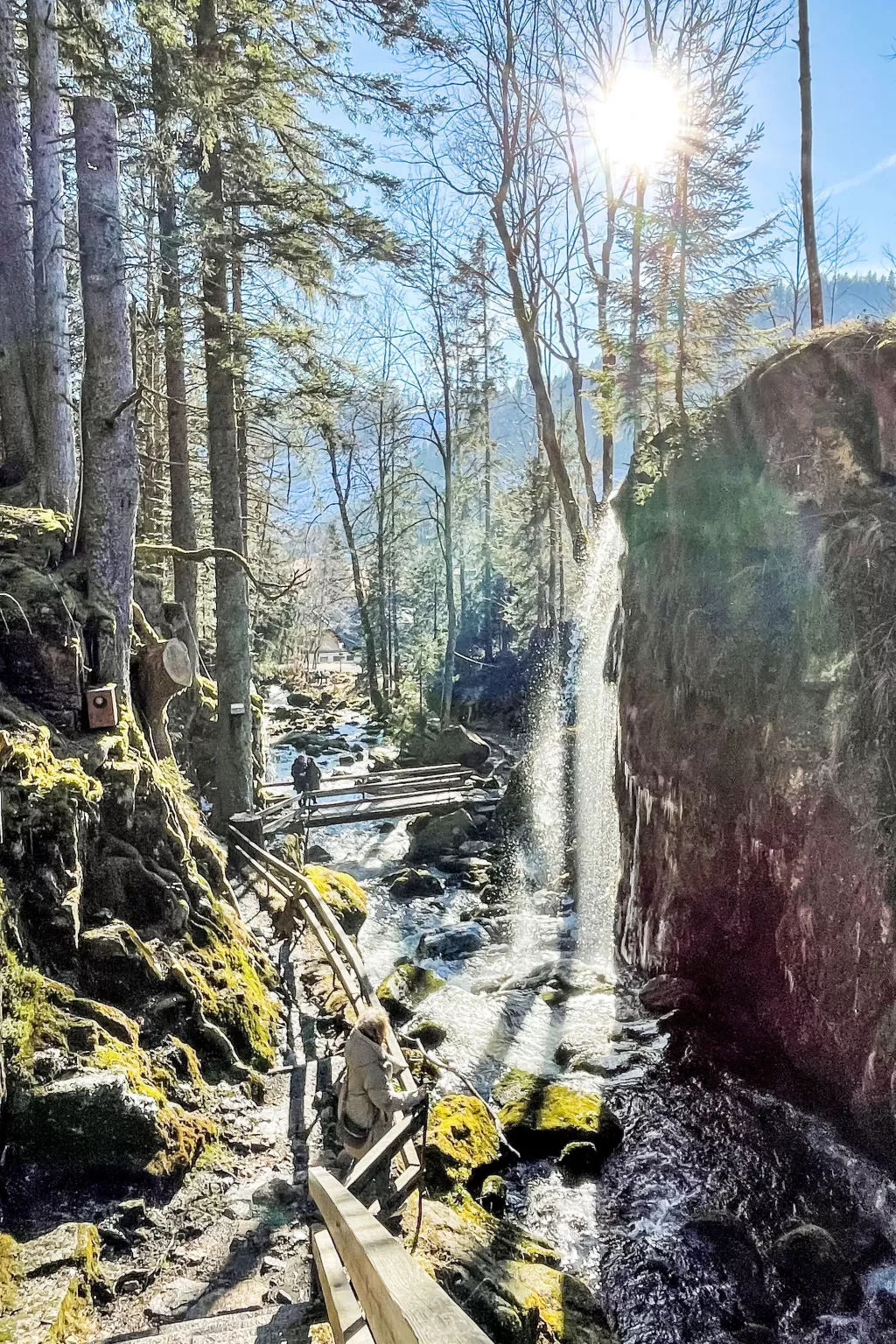 Schwarzwaldhaus St. Blasien, direkt am Bach-Area