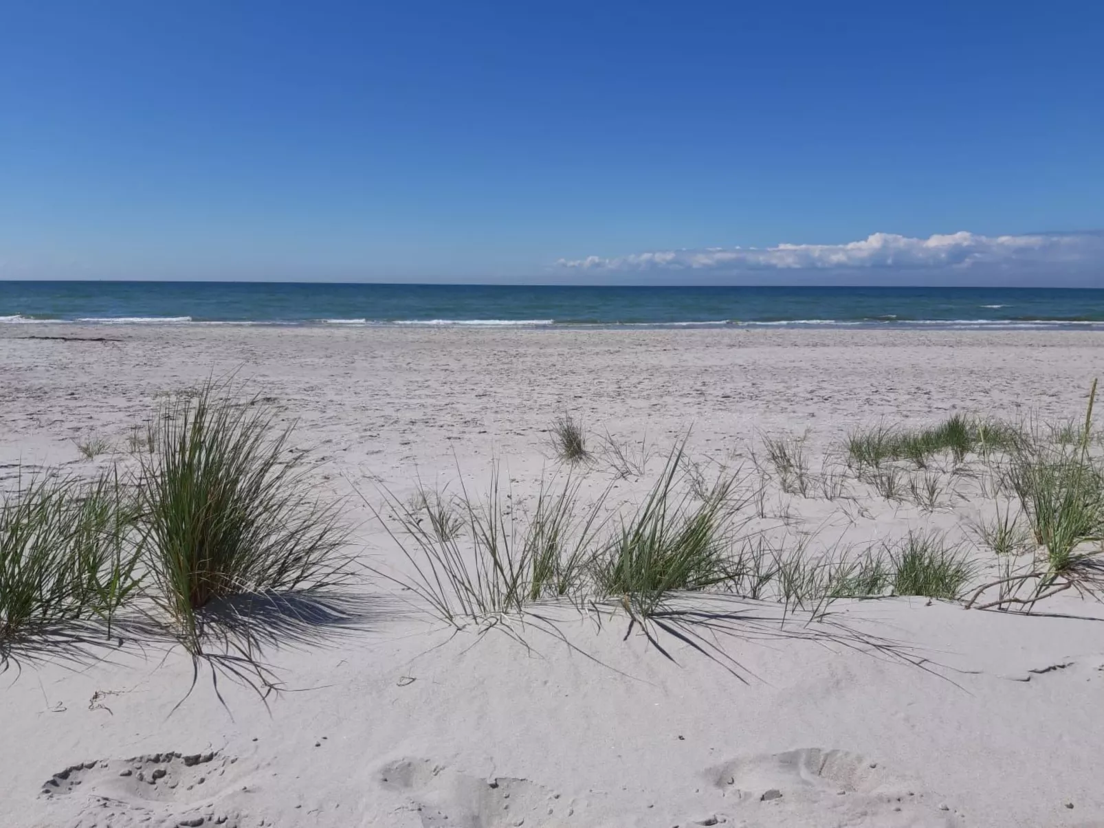 Admiral's Corner Lee-Dehors