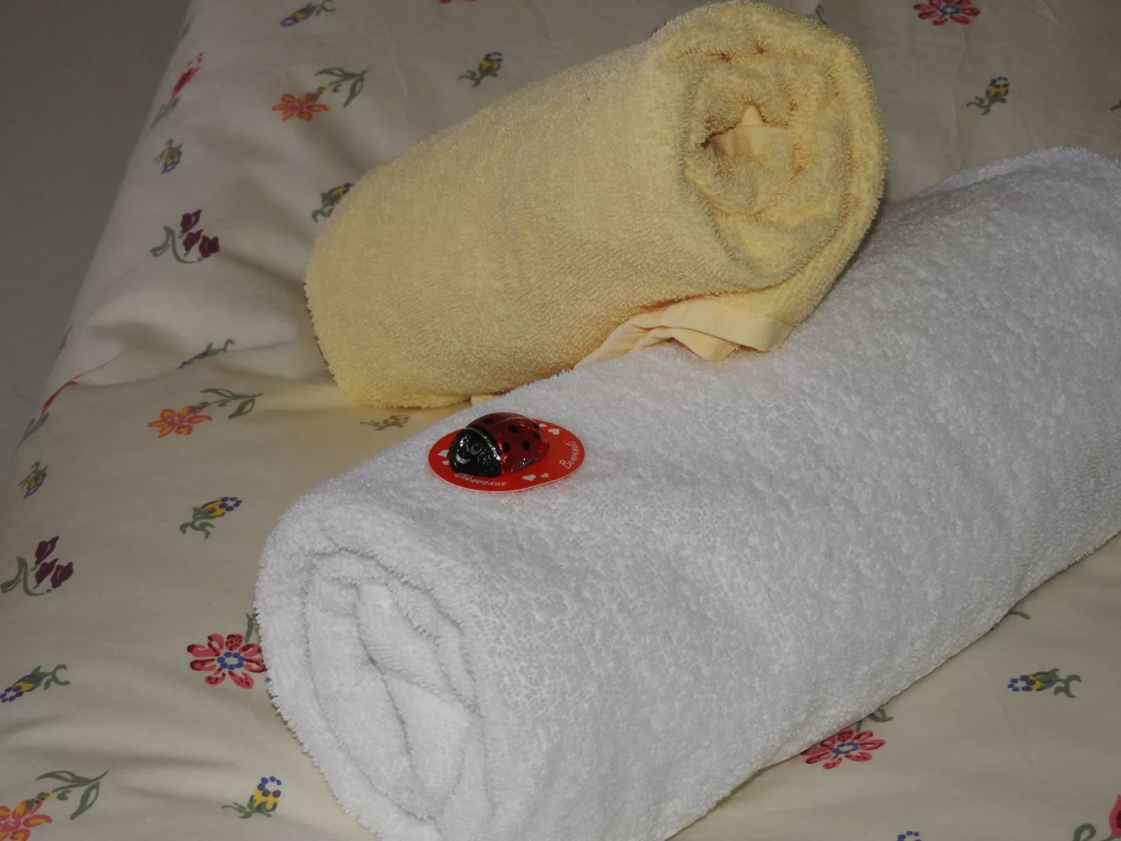 Appartement in Wildschönau-Niederau-Inside