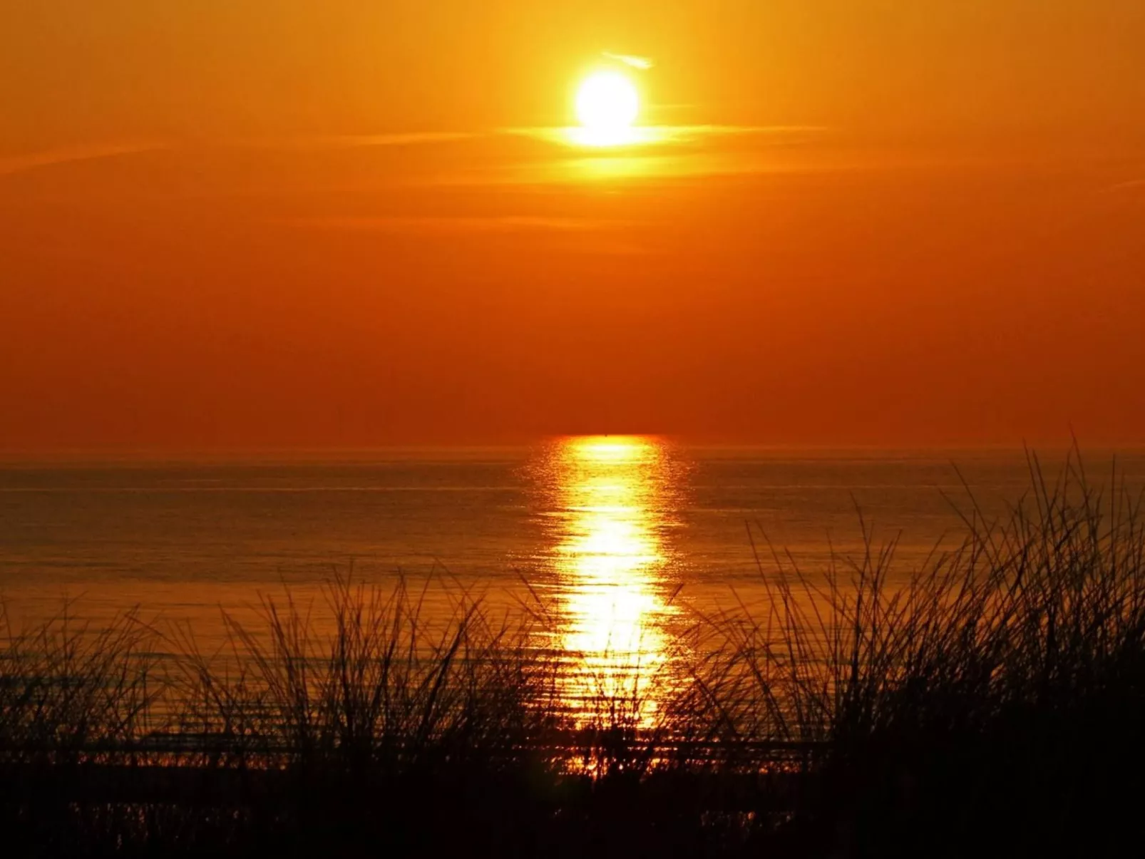 Sommerhaus Klein Wimmenum, Nähe Strand und Dünen-Draußen