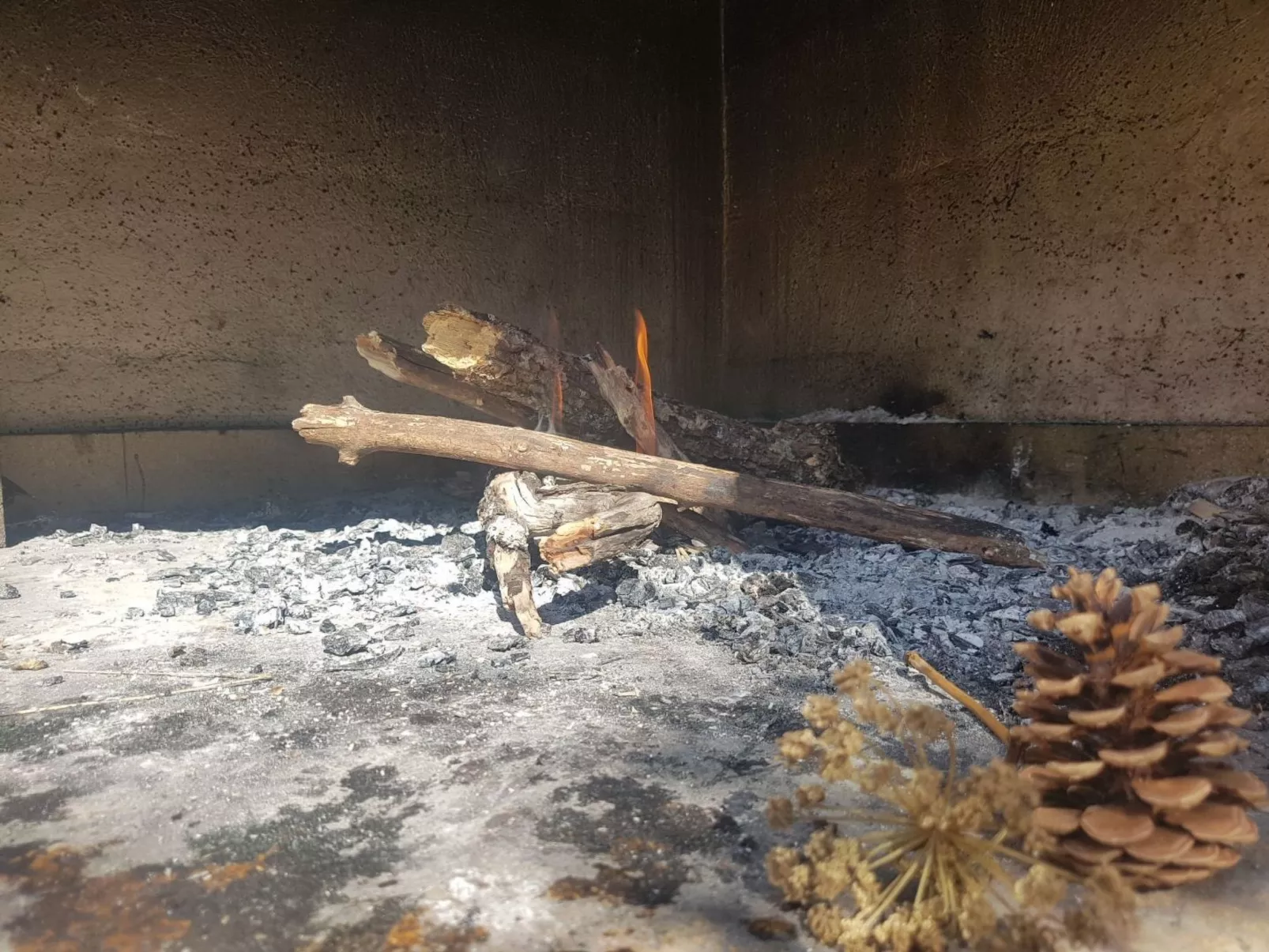 Mit Blick auf das Wasser-Dehors