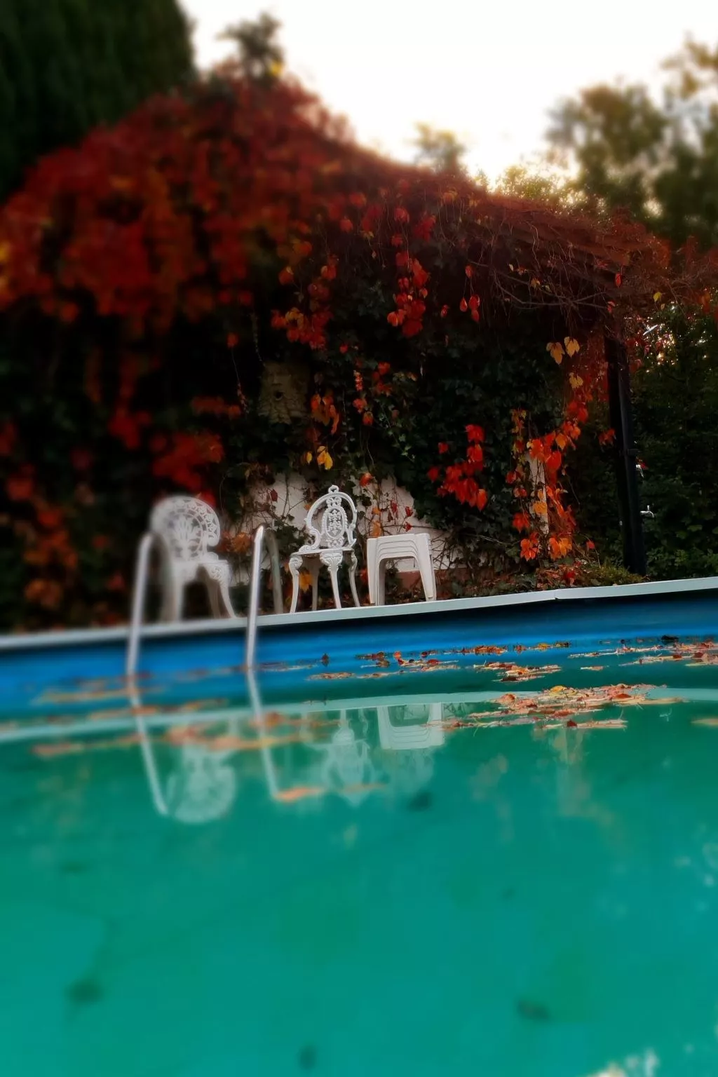 In Glashütt mit Finnischer Sauna-Outside