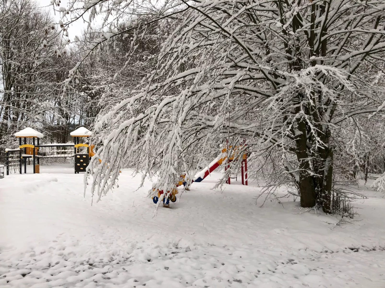 Wunderschönes Ferienhaus am Waldrand-Outside