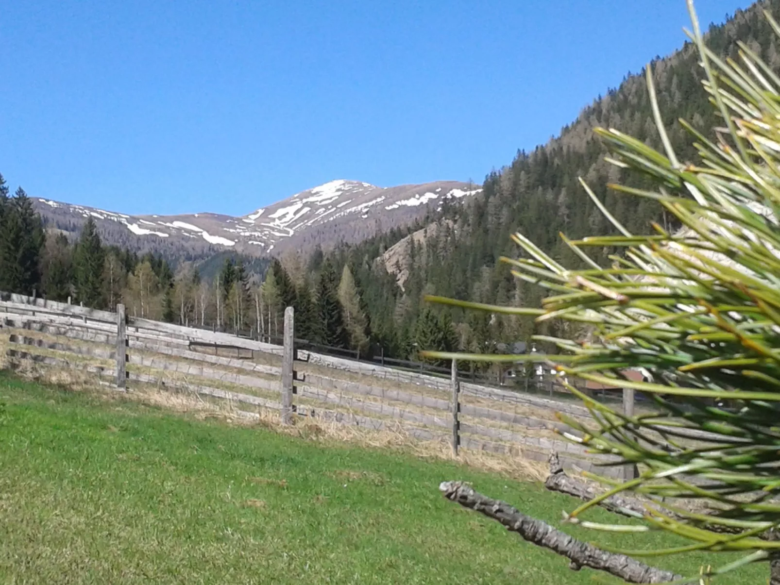 Freistehendes Ferienhaus in idyllischer Lage-Outside