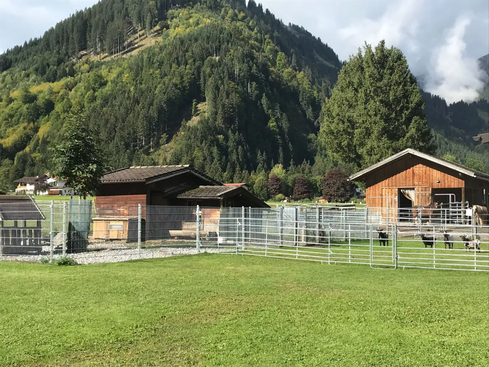 Pony-Ziegen-Hasen-Ranch in Bichlbach-Outside