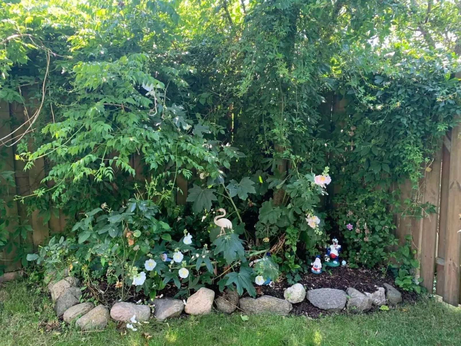 Appartement im Süden der Insel Fehmarn-Outside