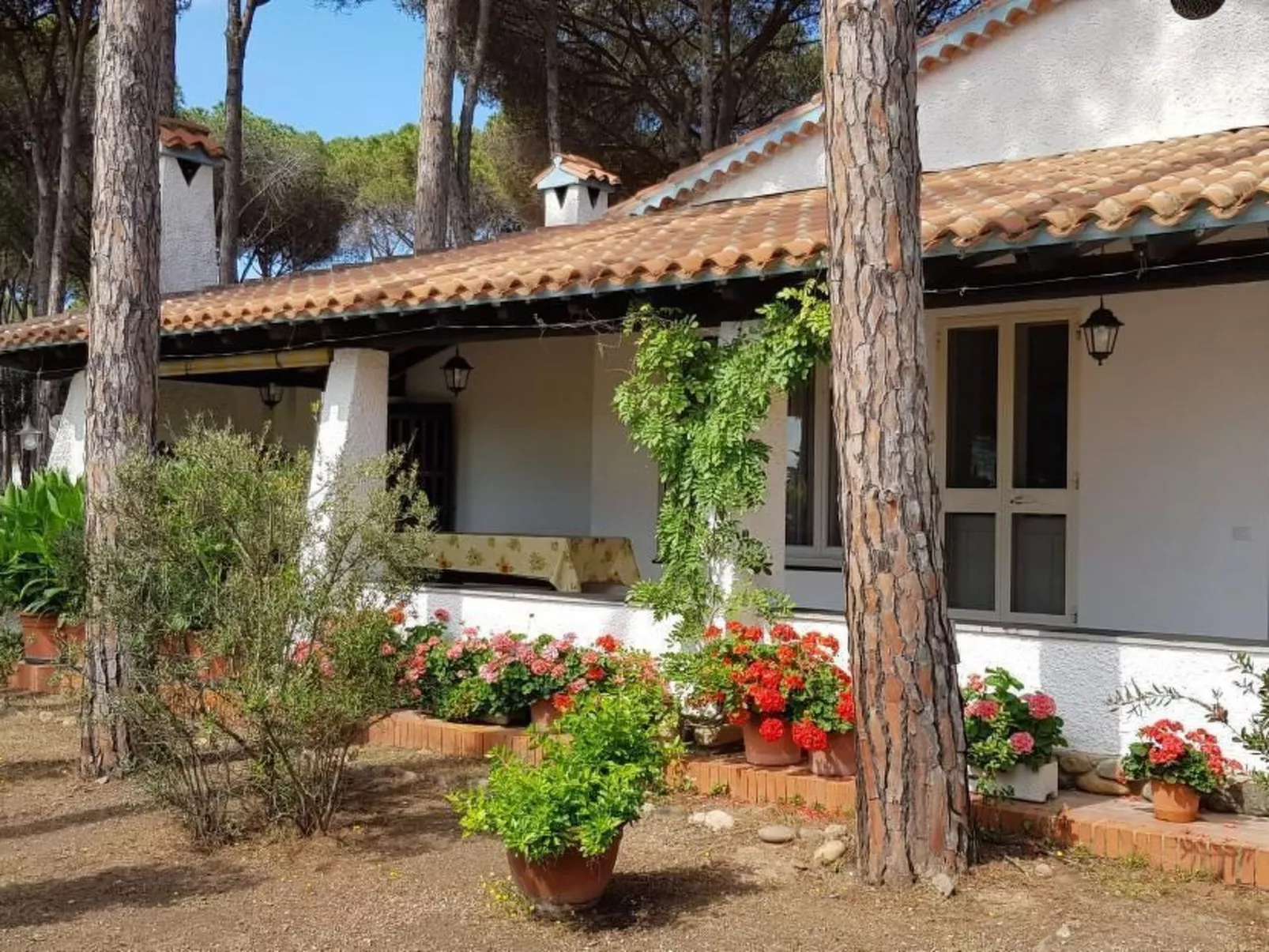 Mare e Pineta-Drinnen