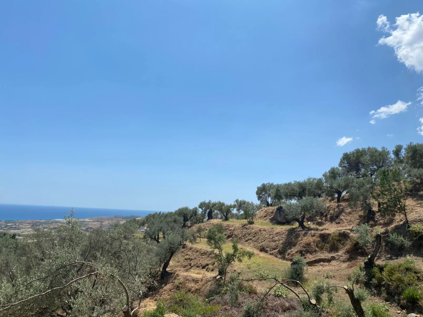 Großes Studio mit Terrasse mit Meerblick-Draußen