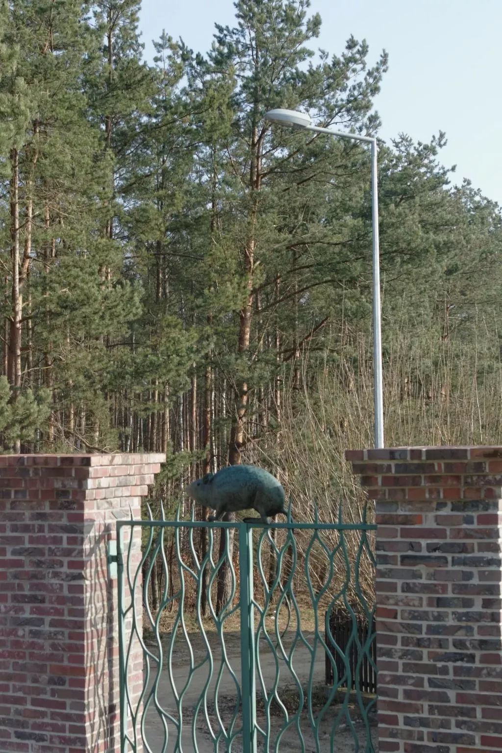 In ruhiger Lage am Waldrand-Outside