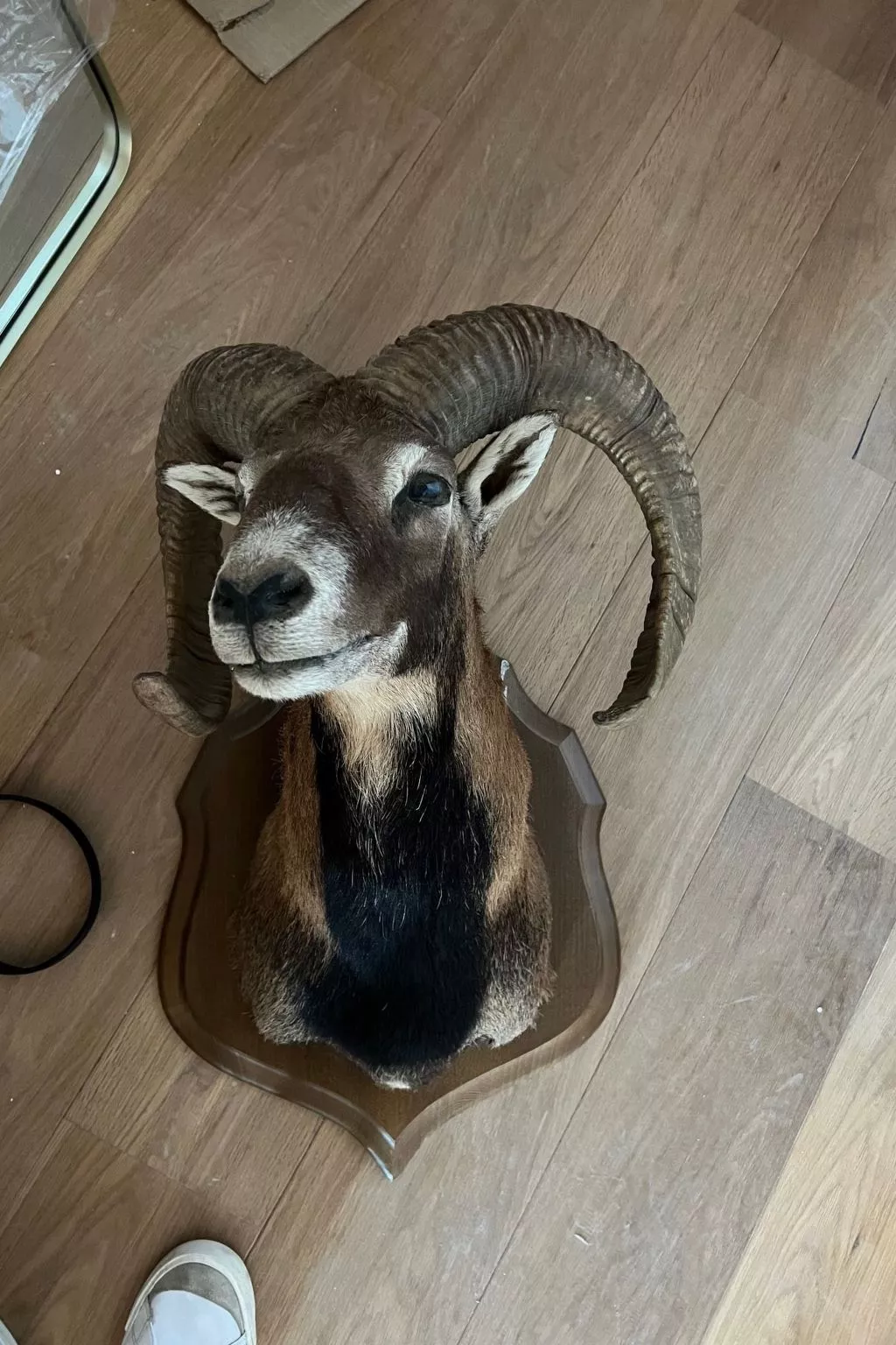 Chalet von 170m2 in Villard reculas, auf dem Gebiet von Alpe d'Huez-Image-tags.info