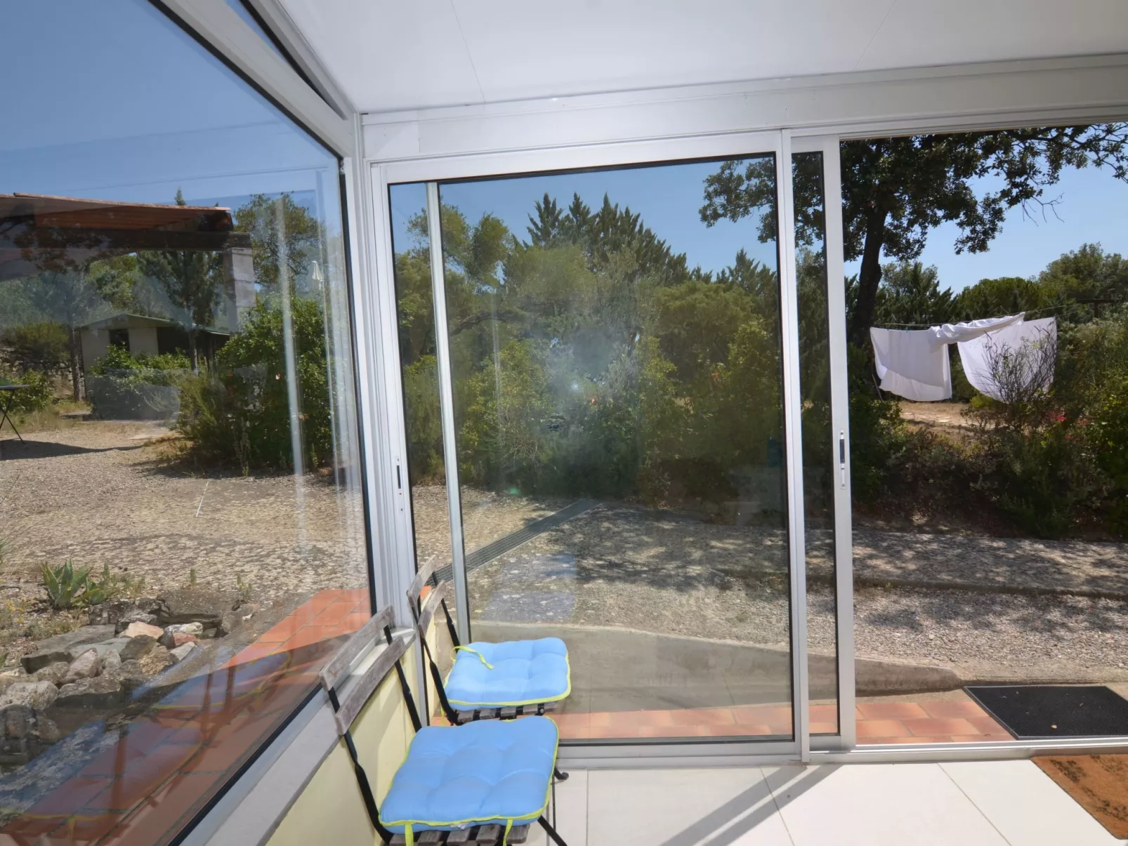 Die kleine Zikade-Dehors