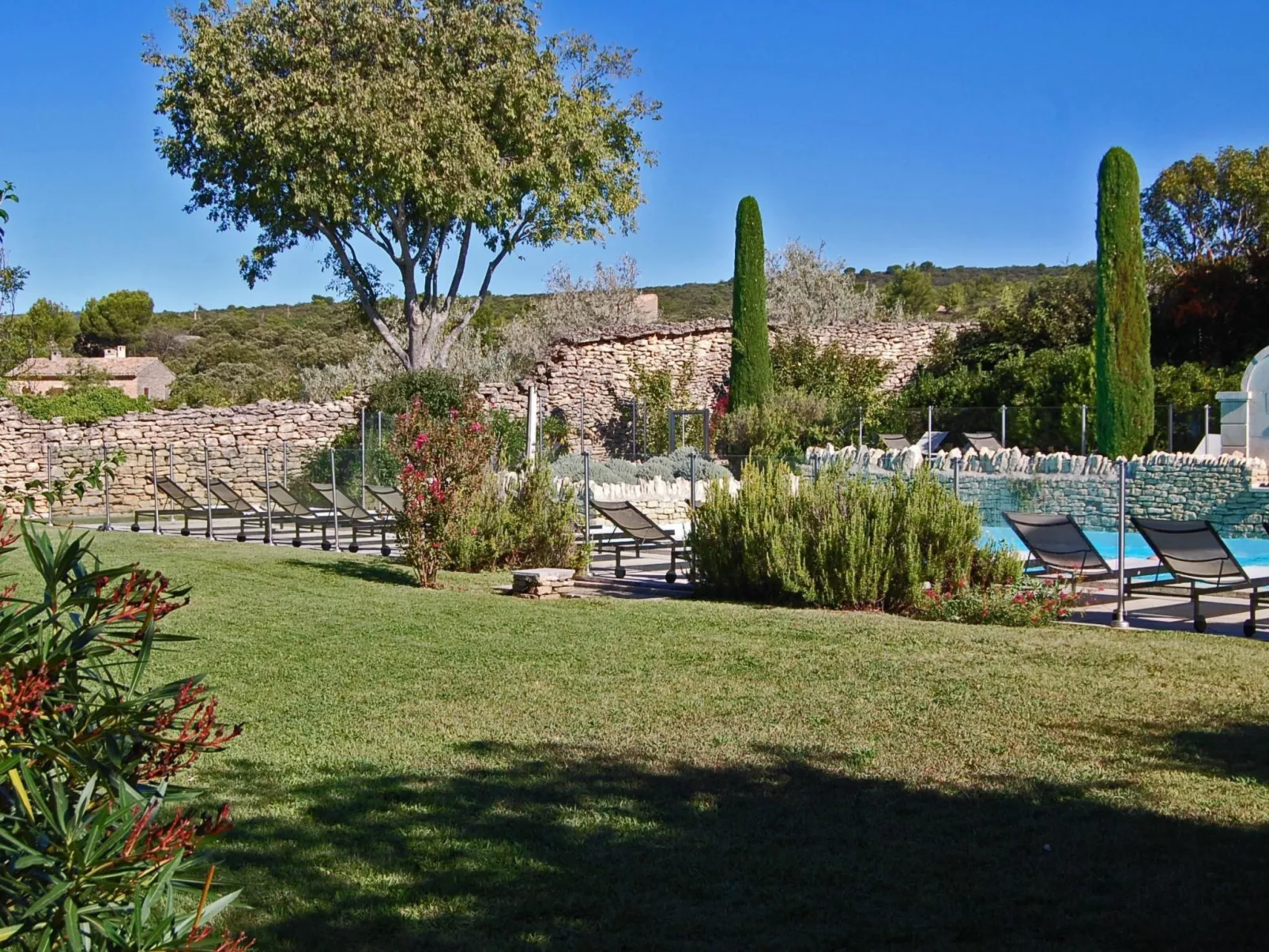 Cypres du Paradis-Draußen