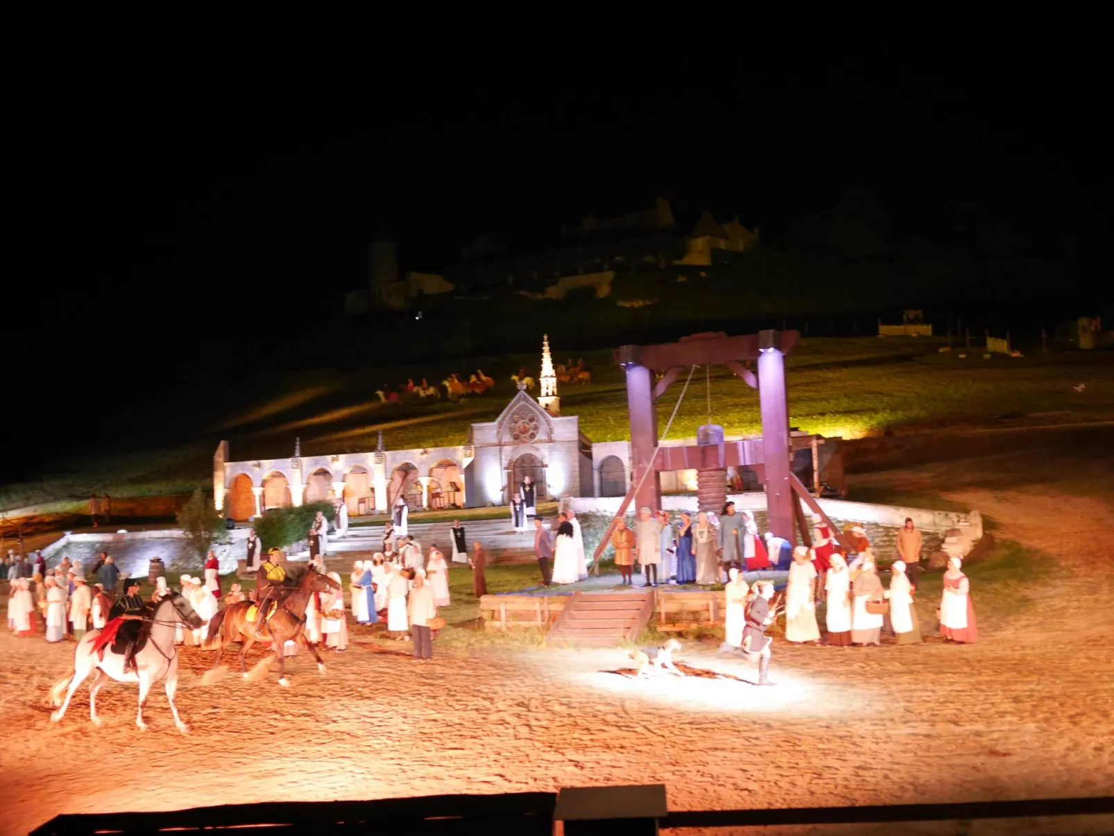 Schloss mit Überlaufpool an der Dordogne-Outside
