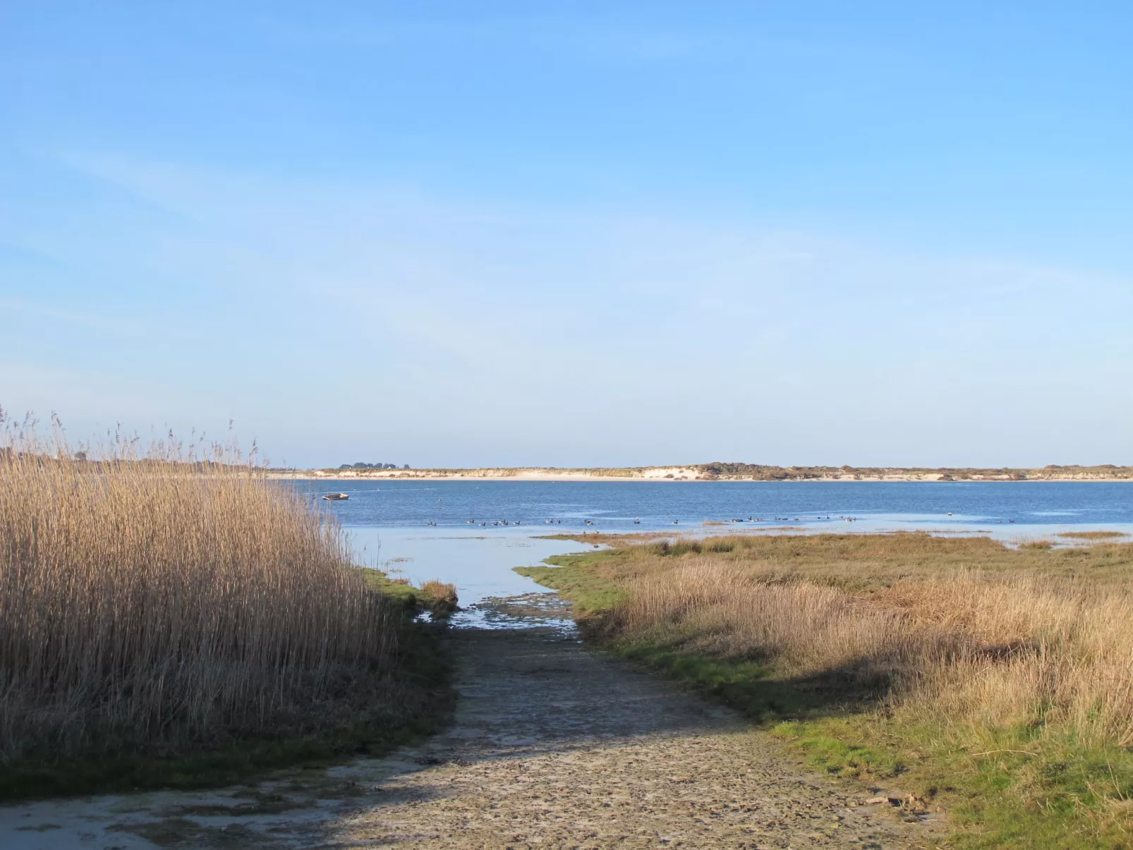 Ty Coz Castel-Umgebung