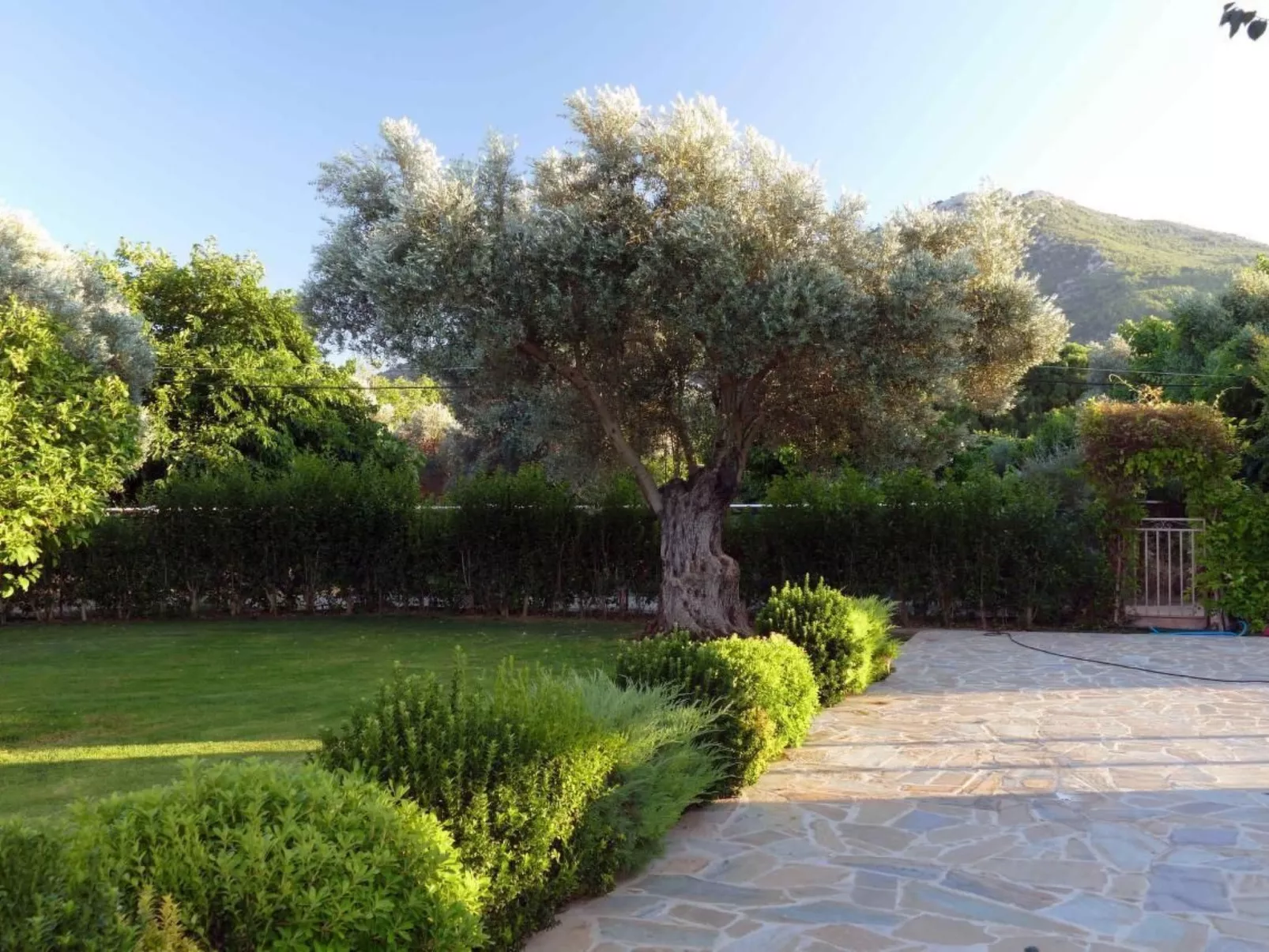 Esperides Ferien-Draußen