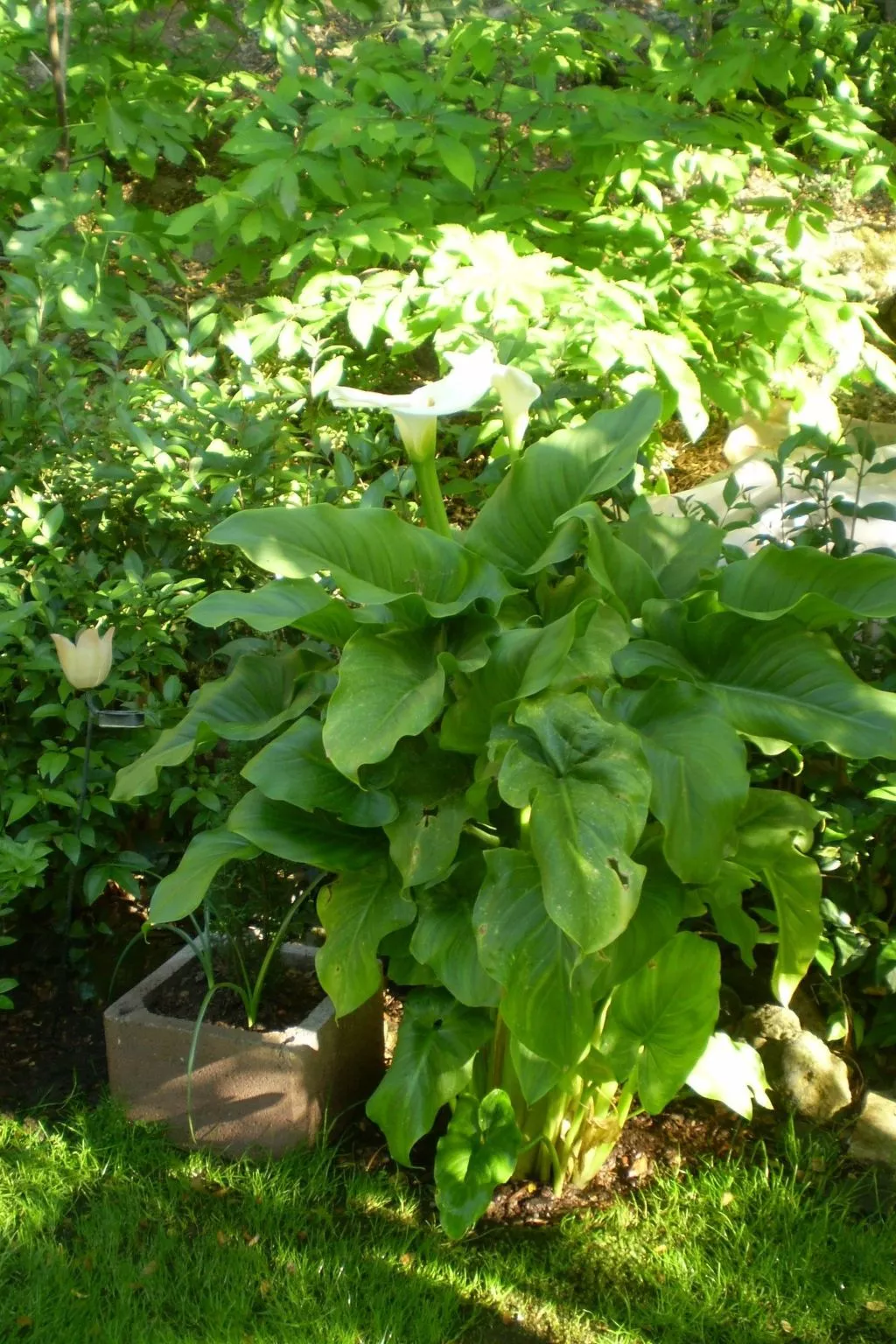 Landgut mit Garten, Grill und Terrasse-Outside