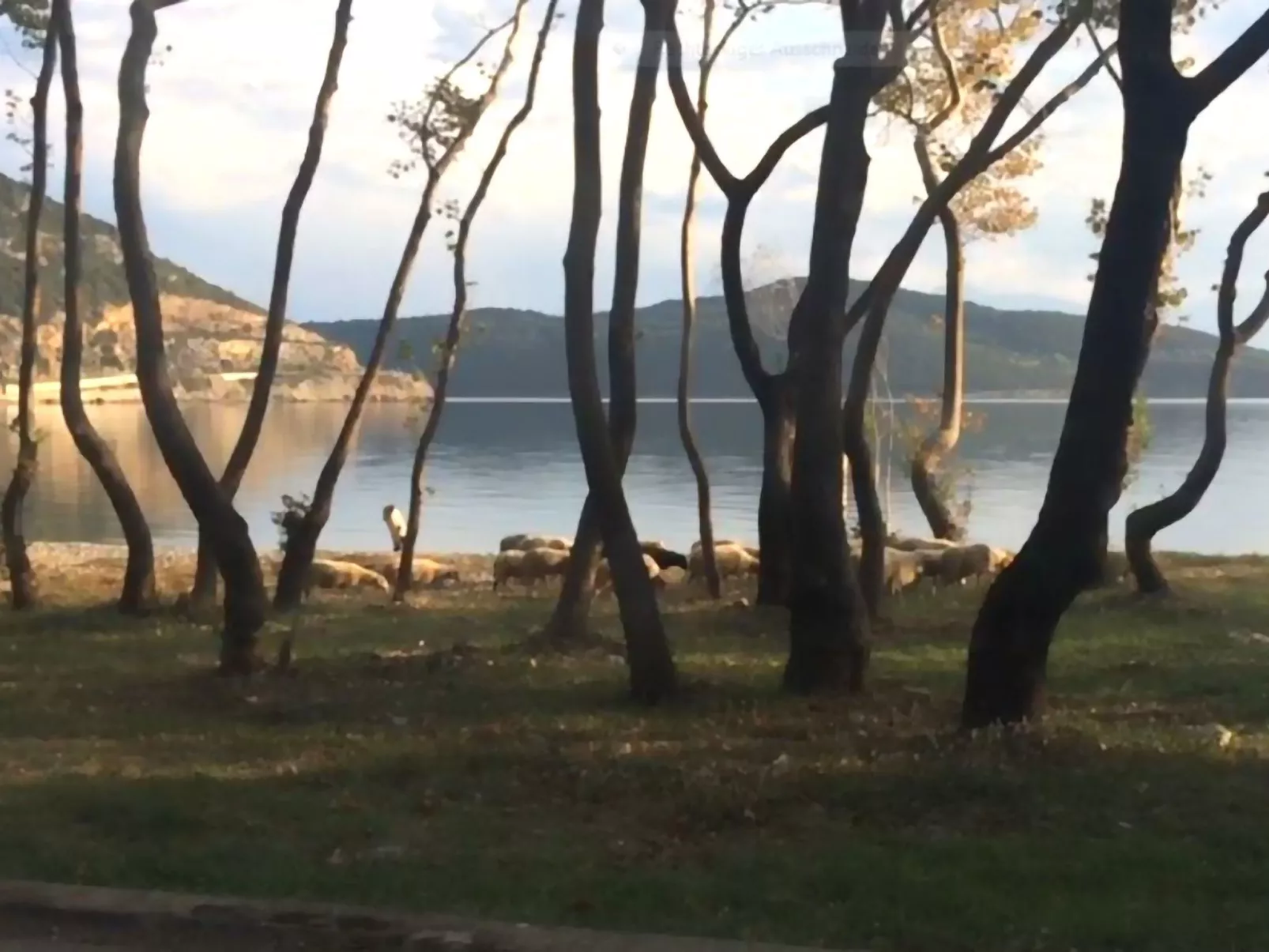 Spiti Louloudia-Image-tags.info