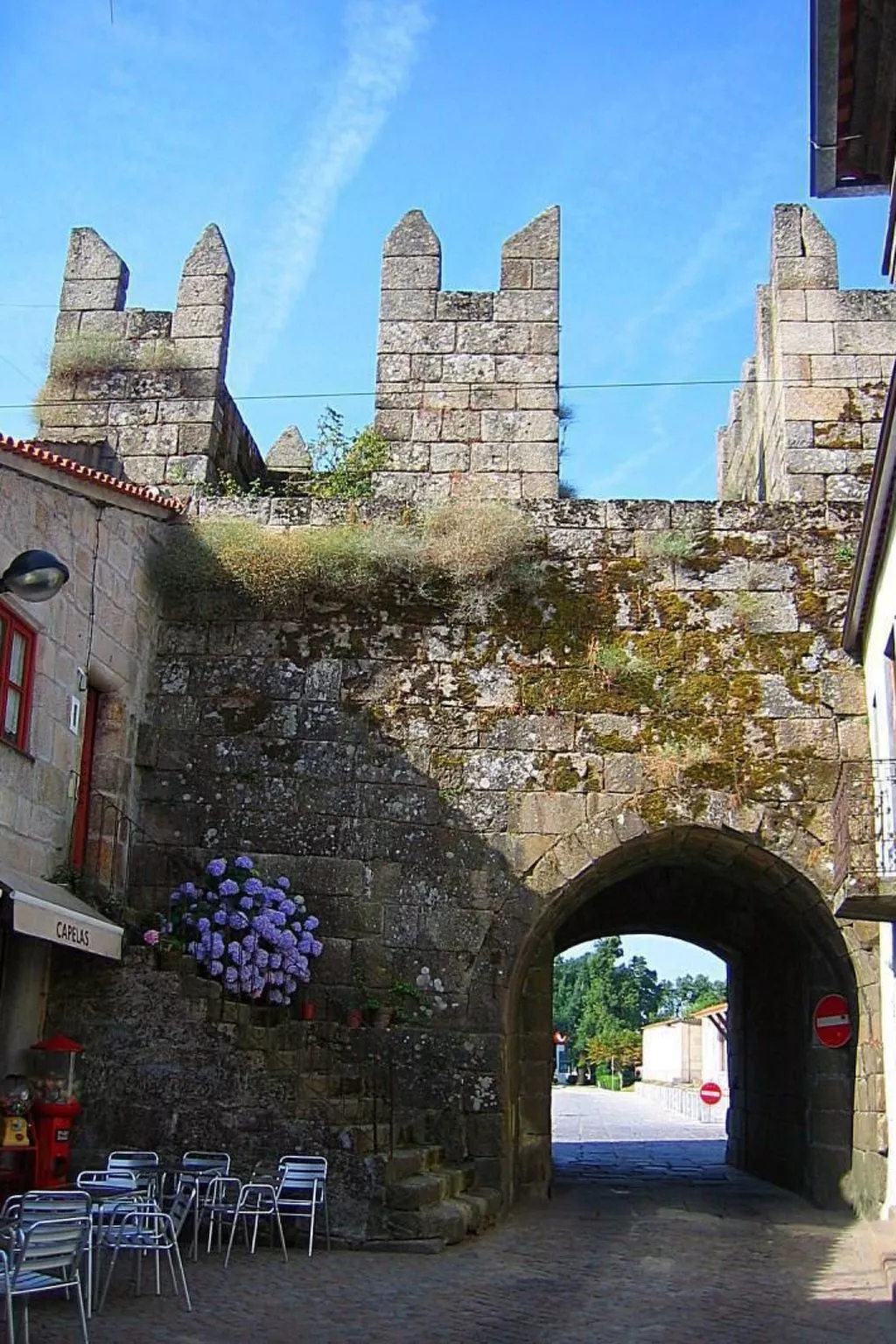 Ferien auf dem Bauernhof mit Weinberg-Outside