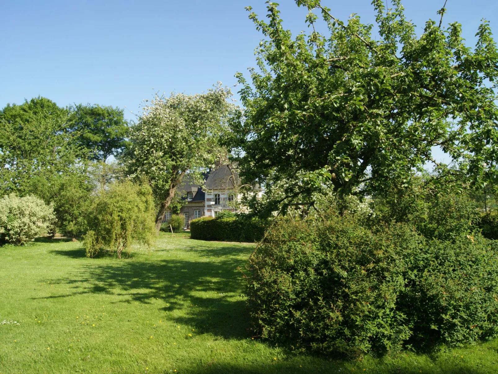 Charmante normannische Ferienwohnung les chataigniers 3 Zimmer-Outside