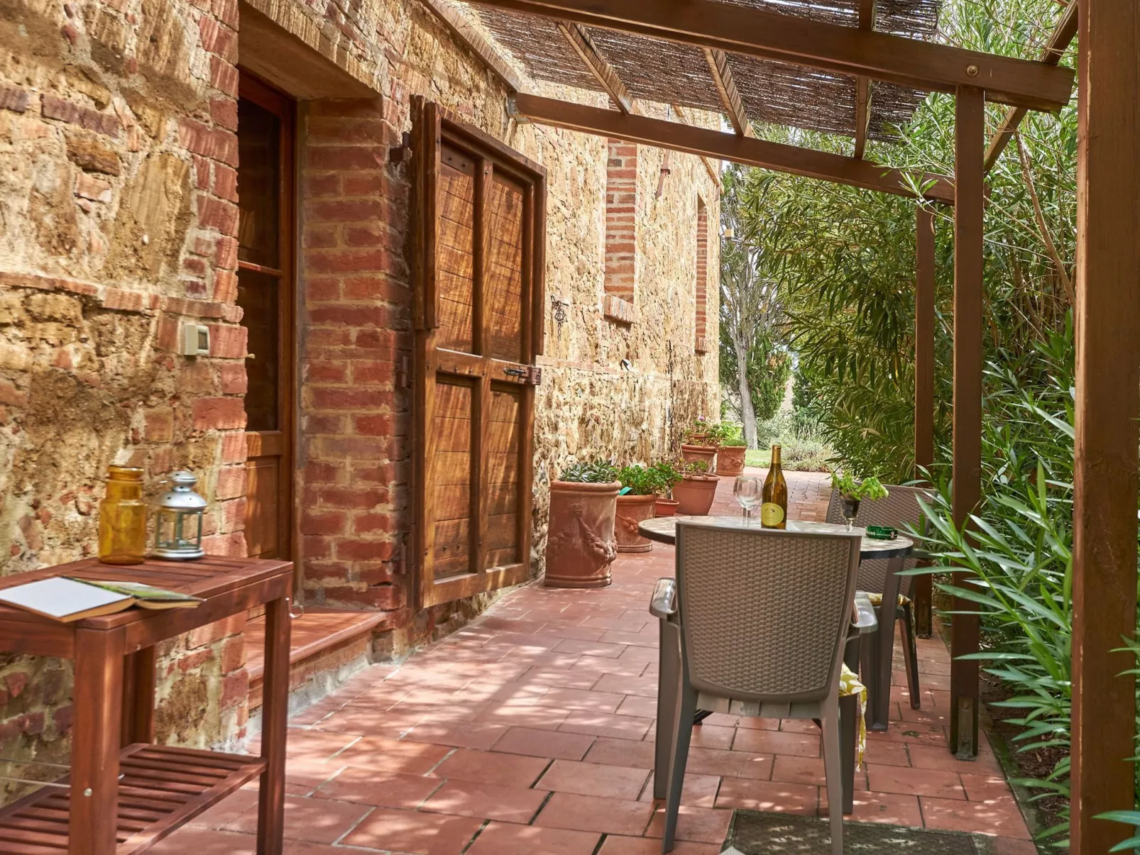 Flach 'Salvia castellett-Draußen