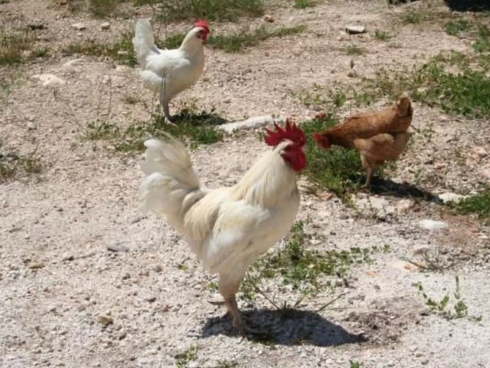 Antike Villa mit privatem Pool, Spa und türkischem Bad-Outside