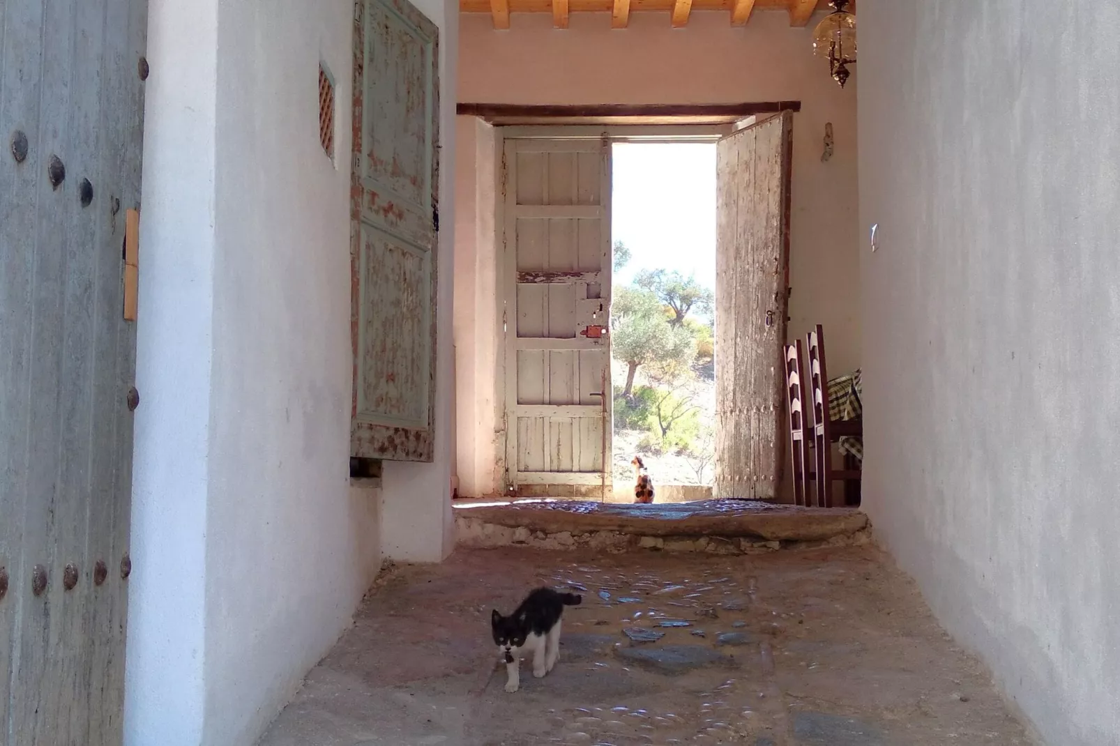 Hacienda Mellado-Reception hall