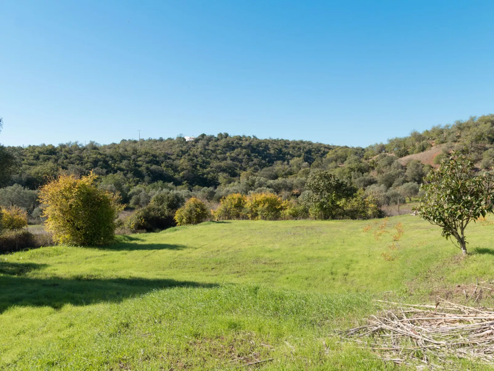 Berghütte "Villa Romao"-Draußen