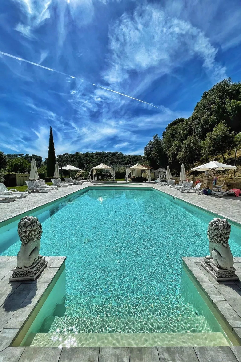 'Calla-Image-tags.info