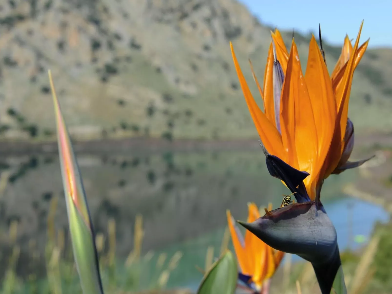 Villa mit Seeblick und Pool in der Nähe von Restaurants-Draußen