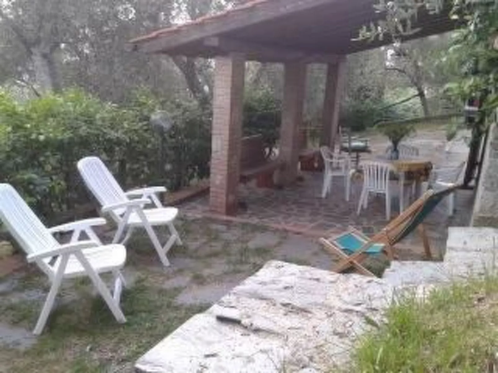 Rustico inmitten eines Olivenhainens