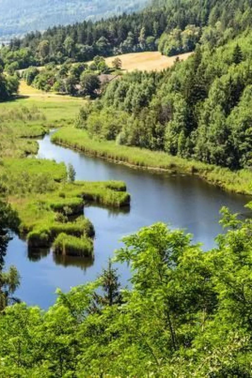Mit Terrasse auf einem Bauernhof-Draußen