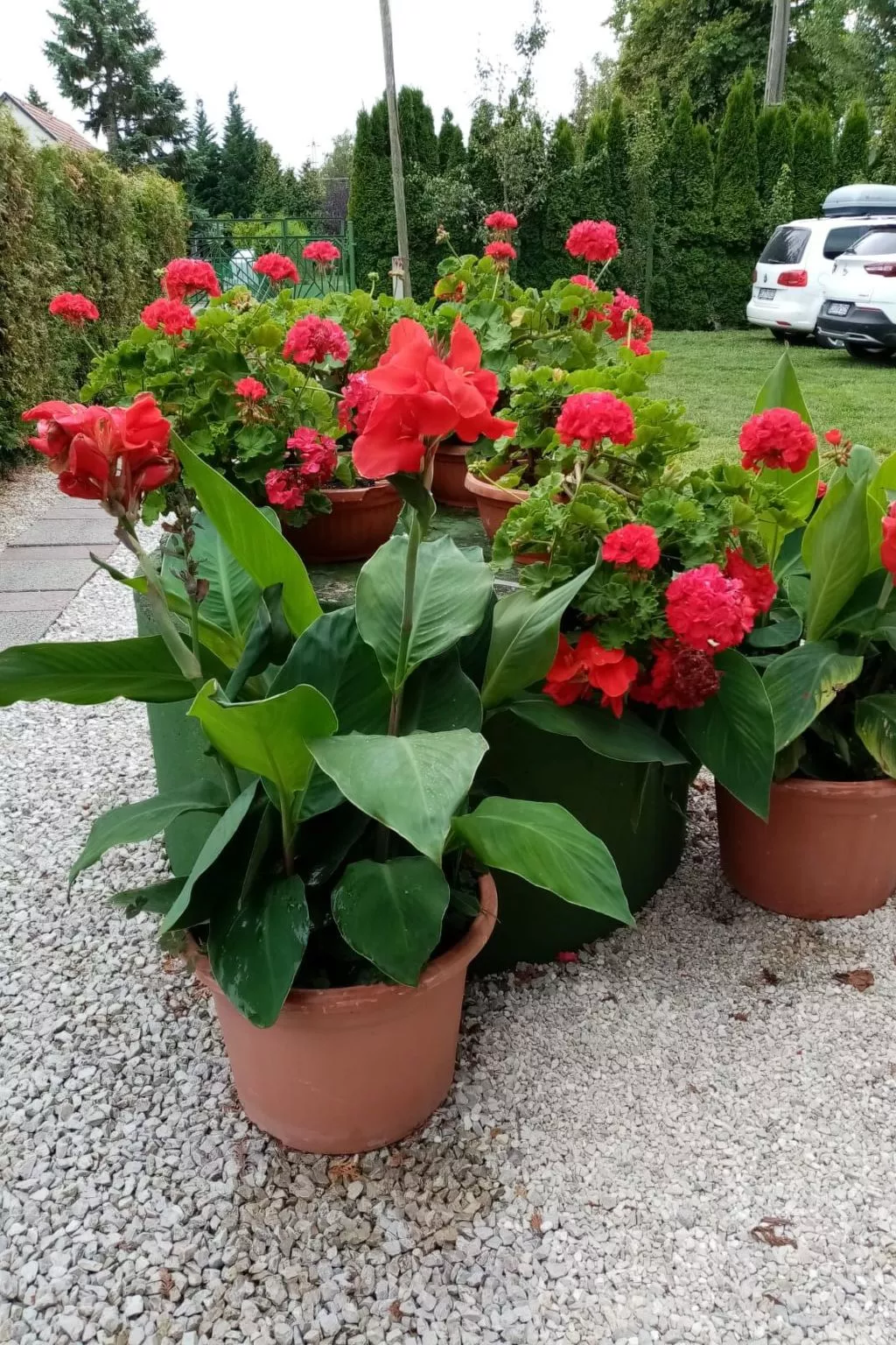 Feeienwohnung am See-Outside