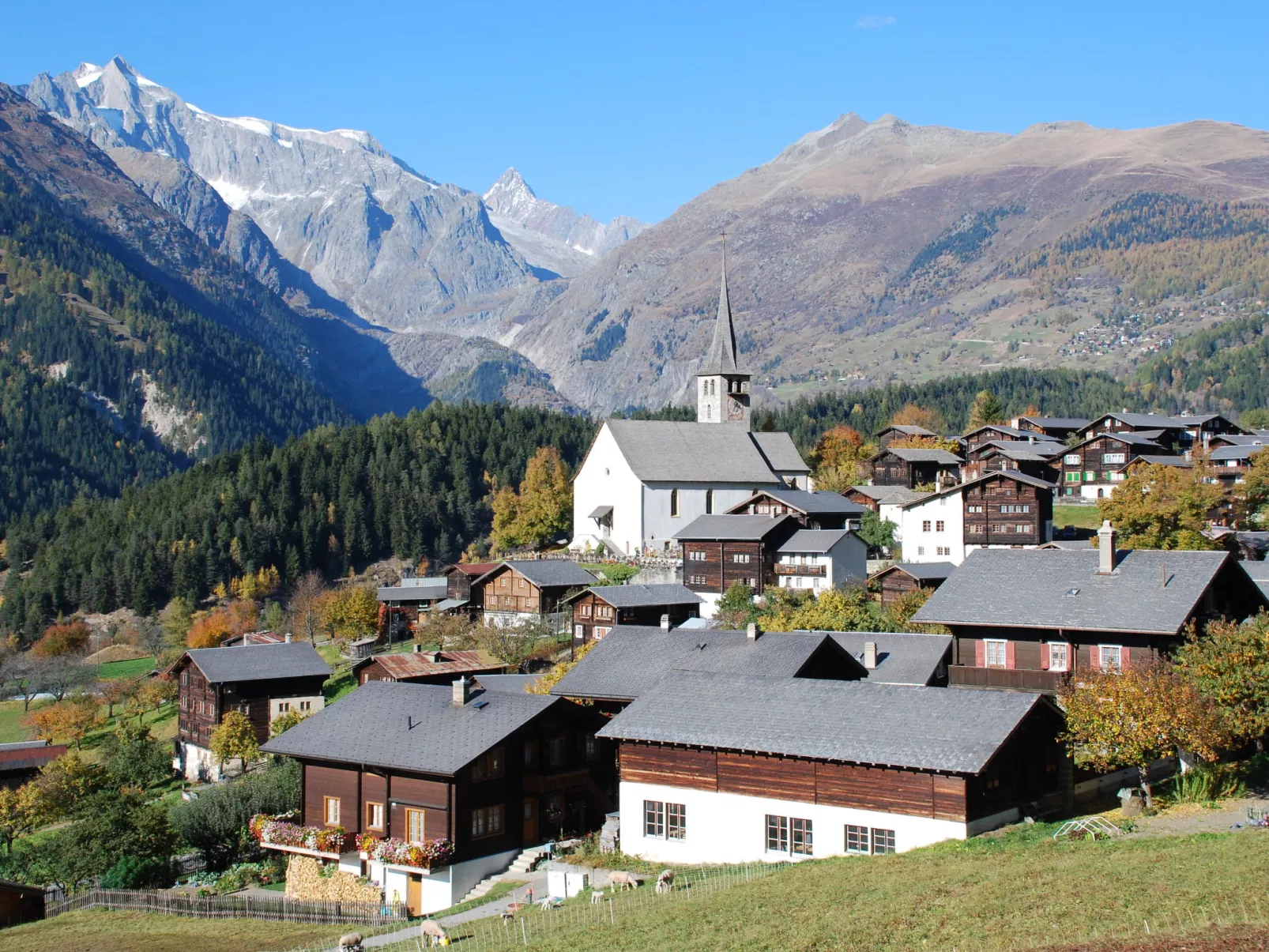 Kaplanei-Environnement