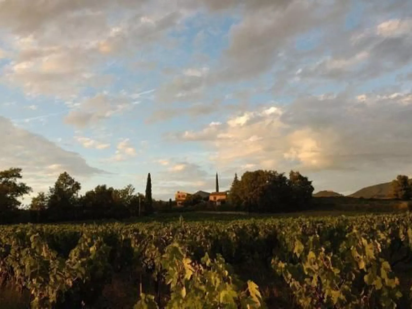 FERIENHAUS, FERIENHAUS "MAISON DE LAVANDE" (LAVENDELHAUS)-Dehors