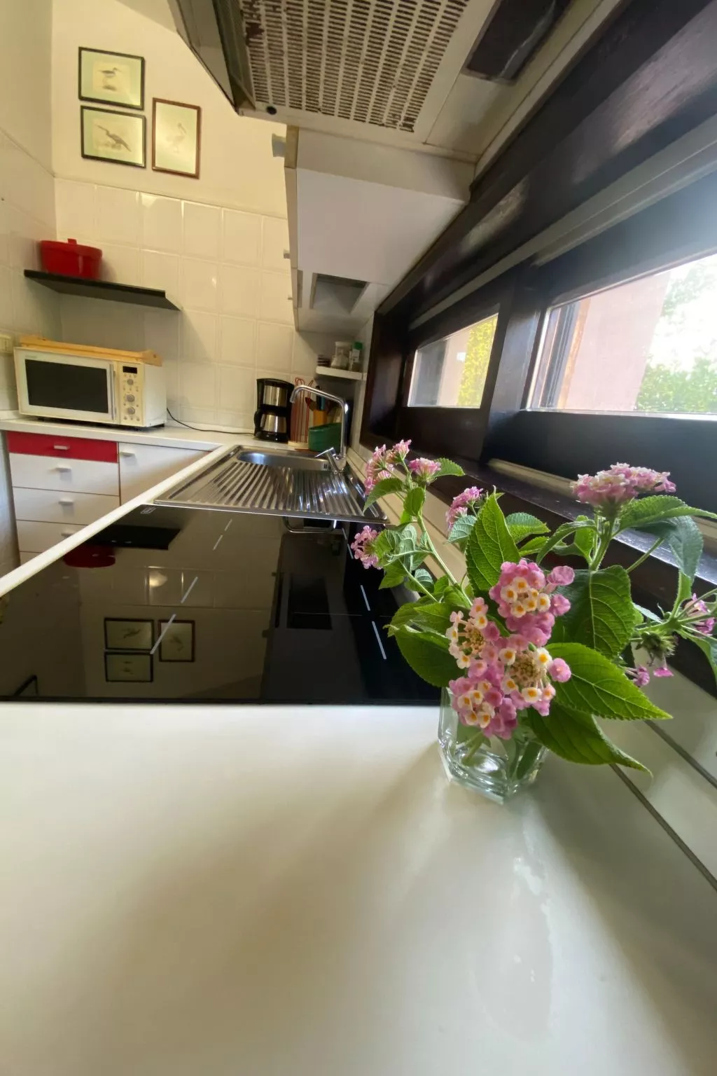 VILLA ARBATAX-Image-tags.info