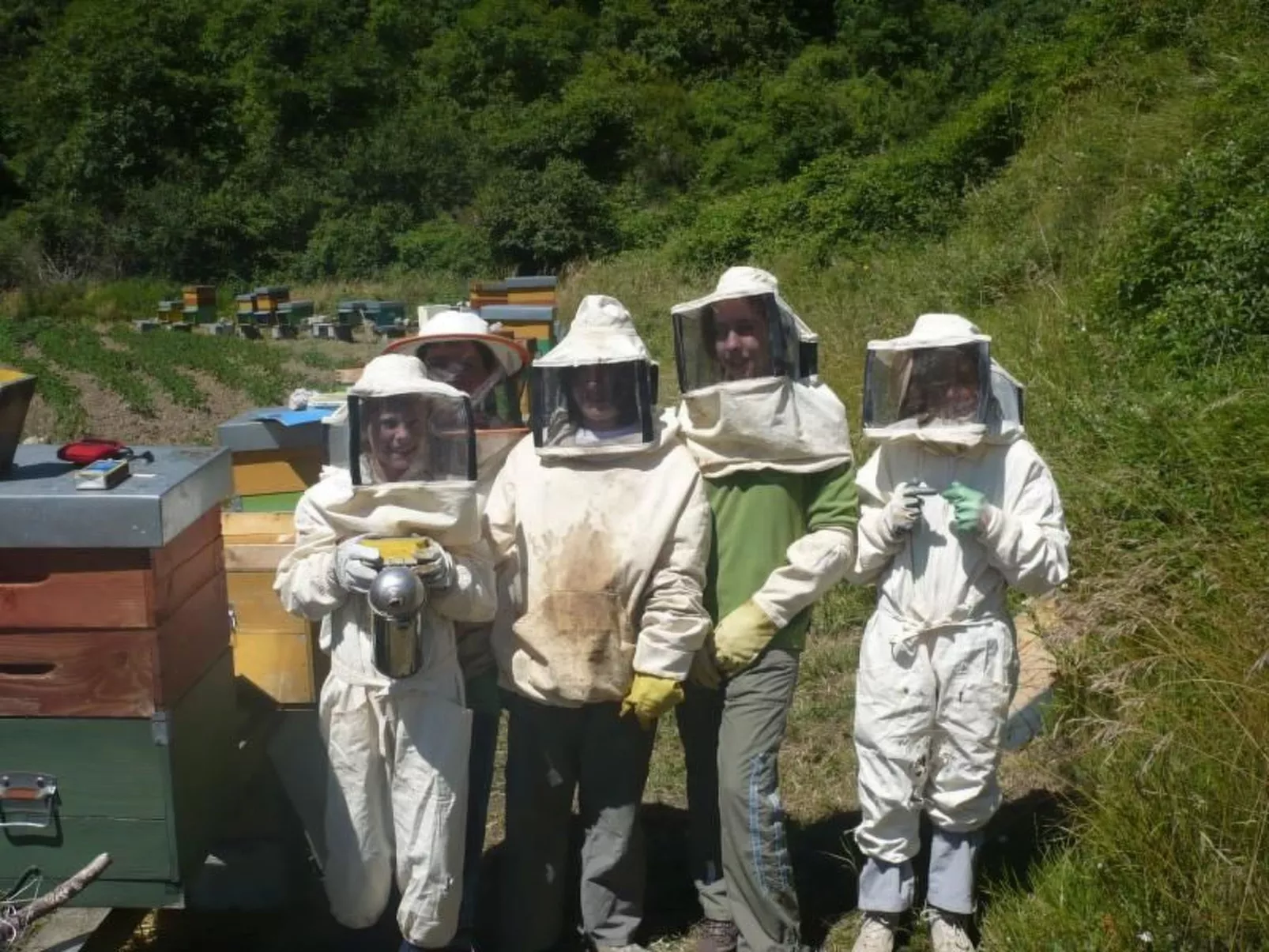 Sole-Image-tags.info