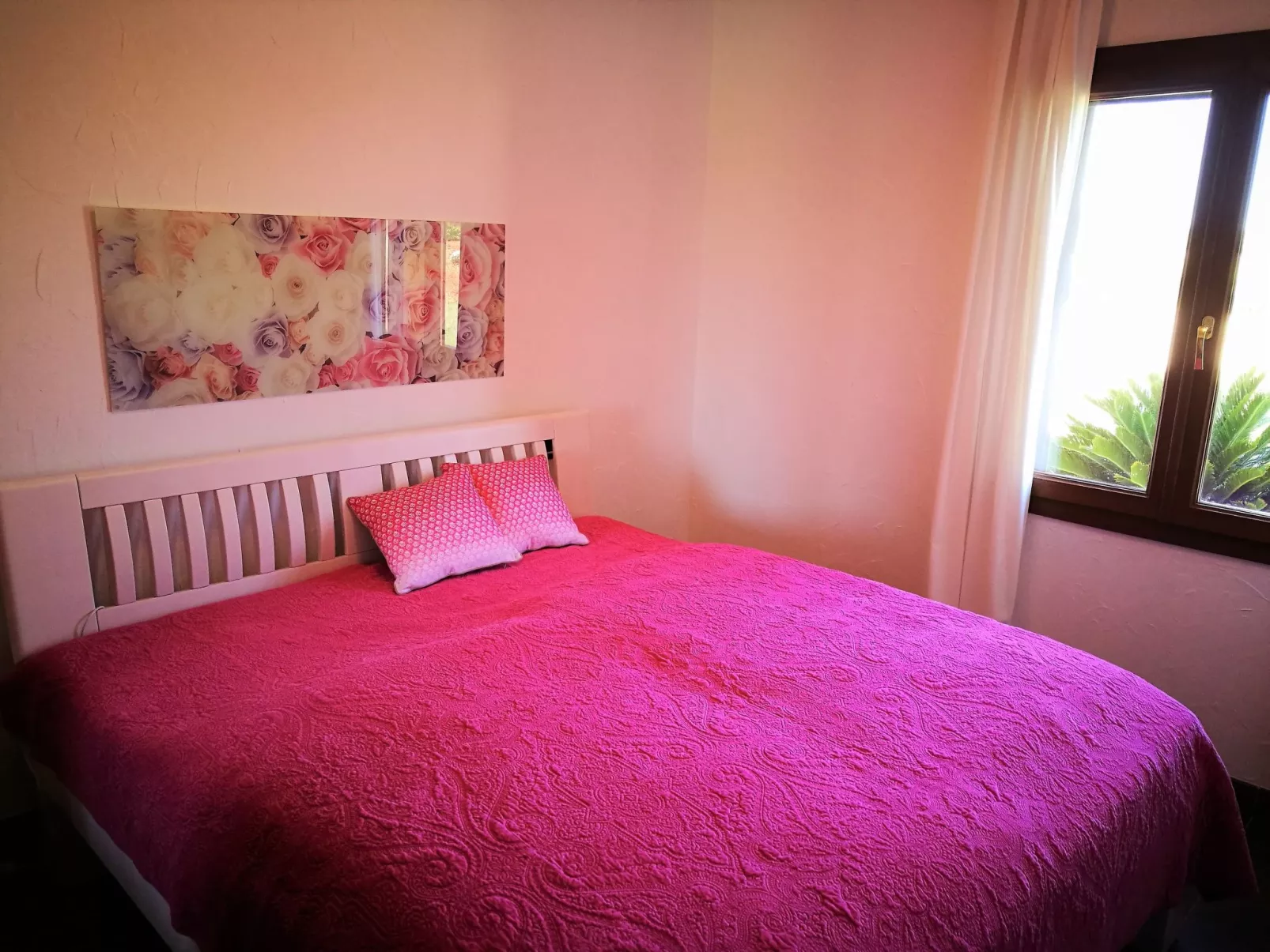 Finca Alegria-Inside