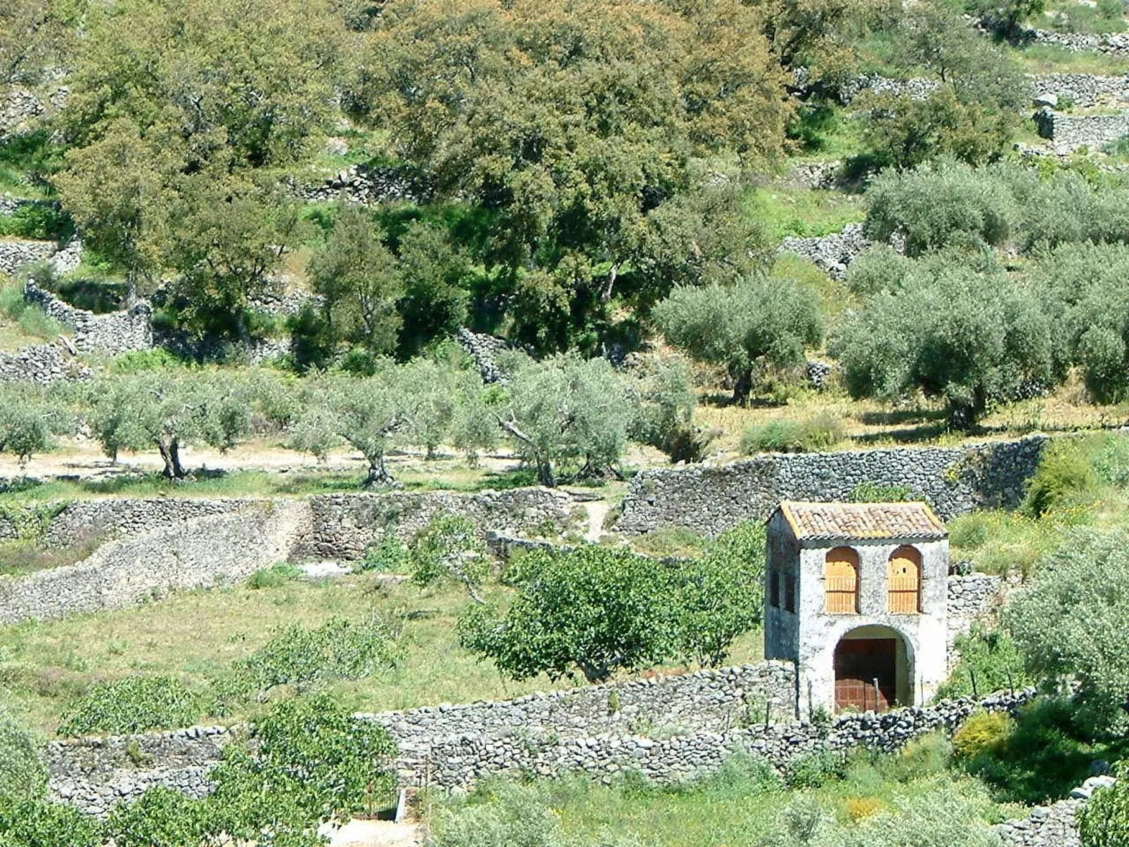 Das Cortijo auf der Finca al-manzil-Image-tags.info