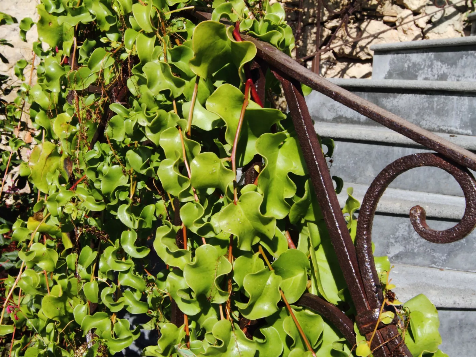 Villa 'La Vecchia Dimora'-Draußen