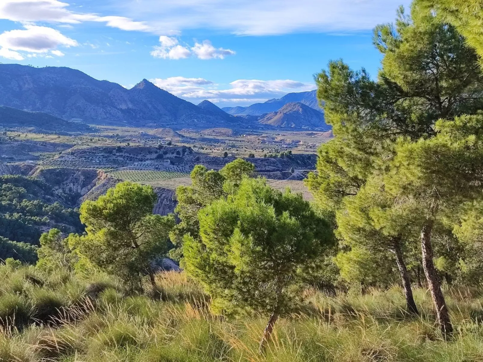 Domicilio de Vida-Image-tags.info