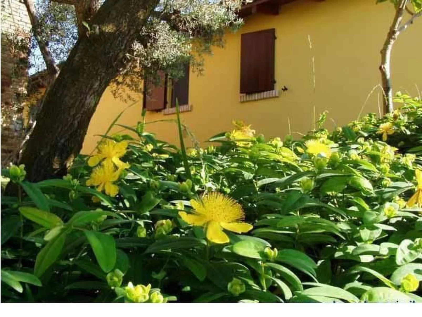 In Notaresco mit Grill und Garten-Draußen