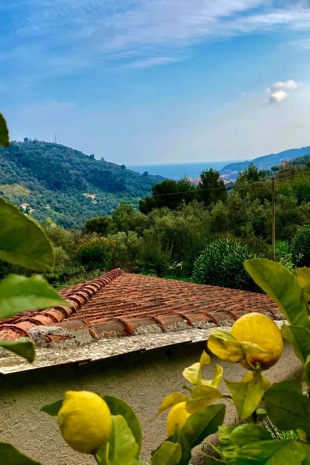 Casa Uliveto-Image-tags.info