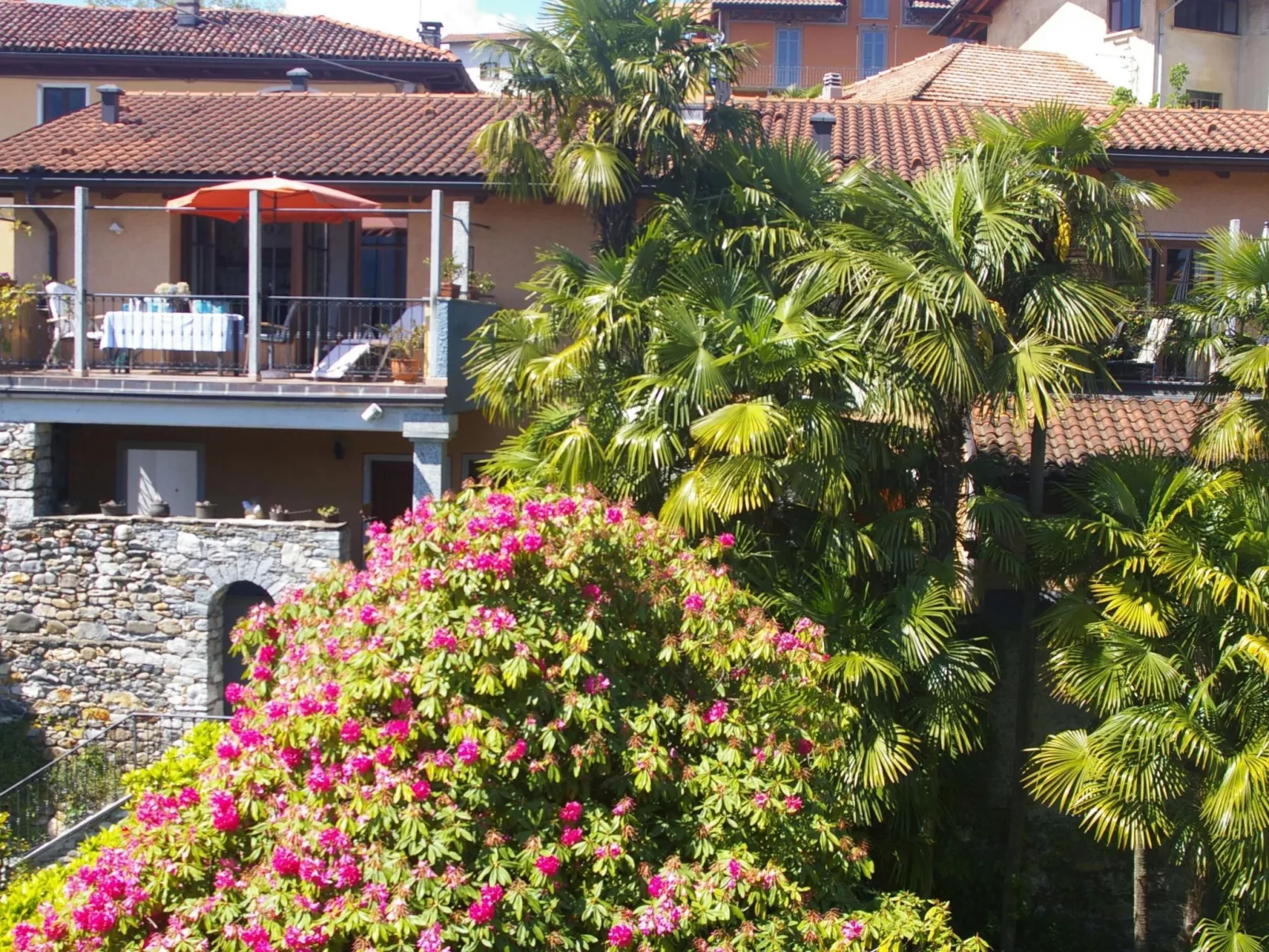 Vecchia Scuderia-Dehors