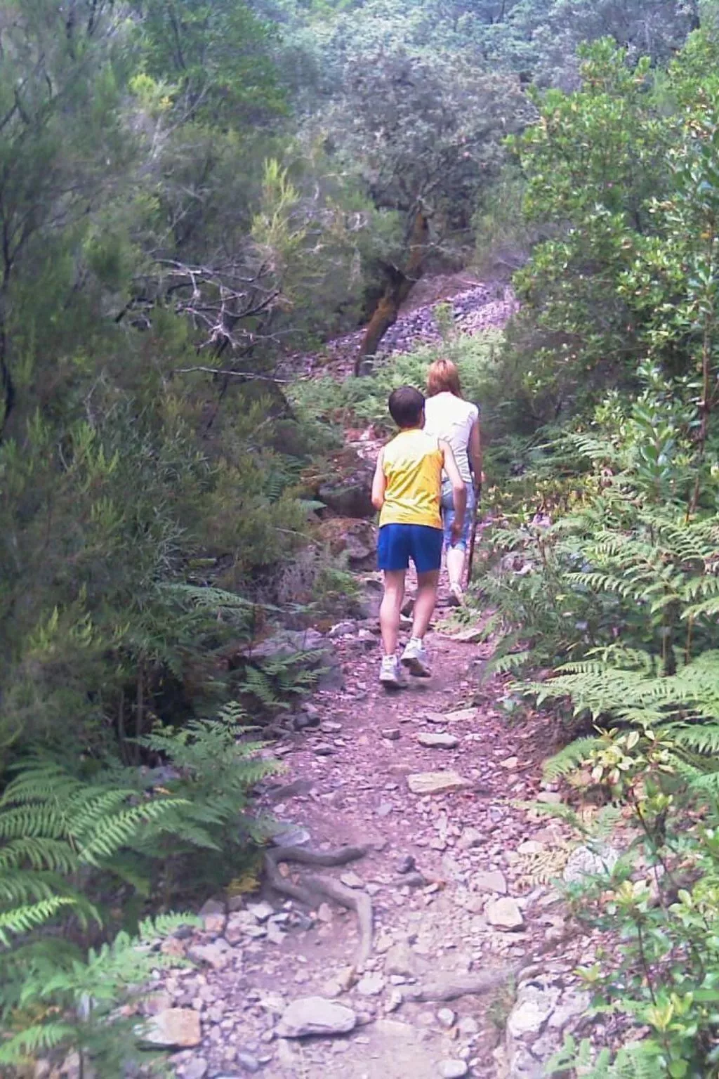 El Mirador del Soto-Image-tags.info