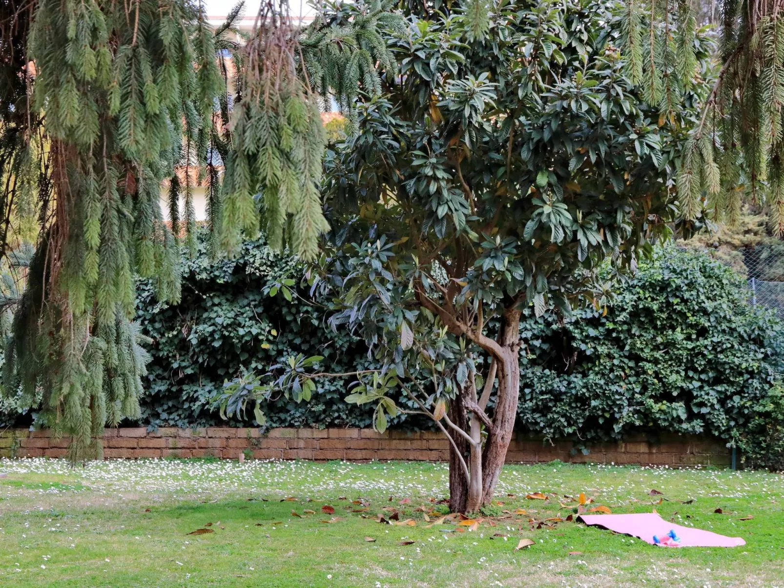 'Aurelia Antica Suite-Draußen